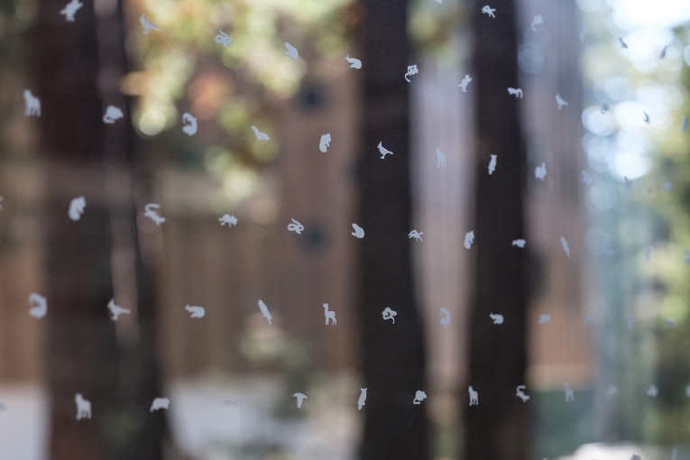 Skyline Design-What Type of Glass Can Birds See? Skyline Speaks Out at City Council Hearing
