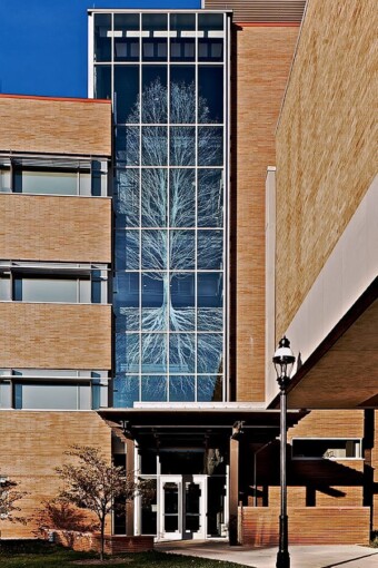 A botanical pattern custom glass etched on the glass partition of Lehigh University BudInside by Skyline Design architectural glass manufacturer