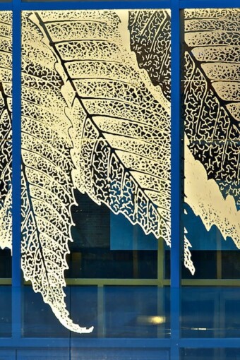 A botanical pattern custom glass etched on the glass partition of Lehigh University BudInside by Skyline Design architectural glass manufacturer